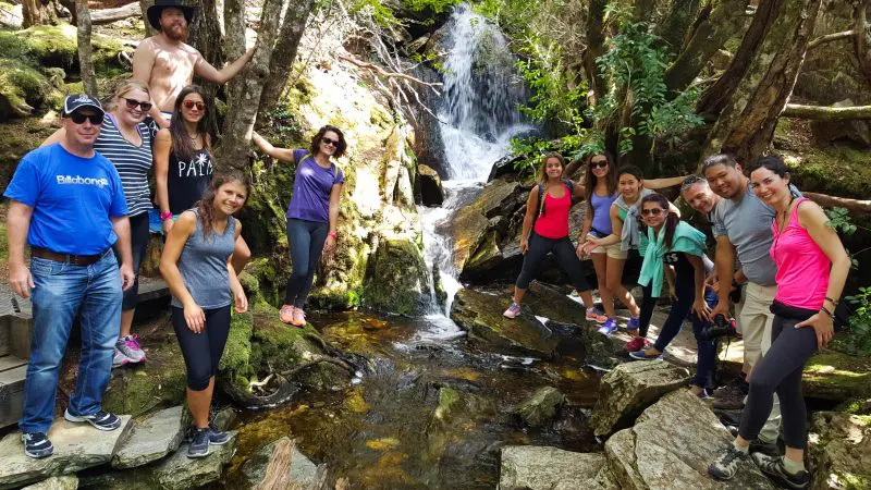 Smiling group enjoying lush forest waterfall on 7 Day Super 7 Tasmania Tour by Under Down Under Tours, ultimate nature adventure experience.