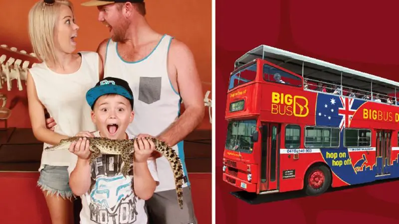Surprised family with a snake beside a red Big Bus tour, featuring Crocosaurus Cove branding and Croc Explorer Ticket flags visible.