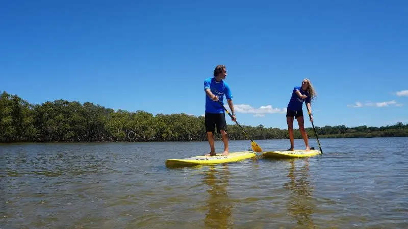 Experience a 5-hour Byron Bay stand up paddle board tour with two people gliding along a tranquil river beneath sunny blue skies.