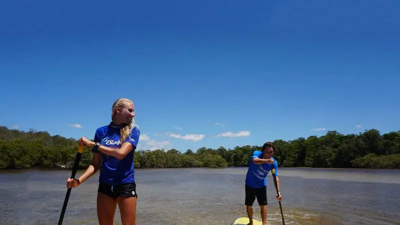 Two people paddleboard on a serene Byron Bay river during a private 2-hour nature tour, surrounded by lush scenery and clear blue skies.
