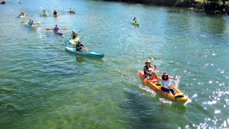 Adventurers kayaking on a sunny day in Byron Bay’s crystal-clear green river, enjoying a scenic sea kayak tour amid lush greenery.