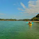 Kayaking duo paddles the scenic Brunswick River Nature Tour, framed by vibrant green trees and a stunning, clear blue sky above.