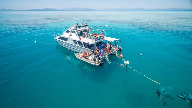 ocean freedom boat in the ocean