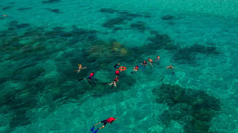 people snorkelling in Great Barrier Reef