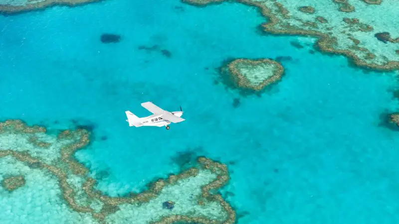 Experience a Reef Island Scenic Flight as a small aeroplane glides above vibrant coral reefs and crystal-clear turquoise ocean waters.
