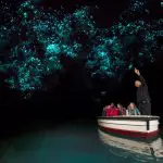 Tourists in a boat marvel at radiant blue glow-worms illuminating the dark Waitomo Caves, a top natural attraction in New Zealand.