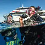 5c98657bdbf79_658_prodivecairns-above-water-lr