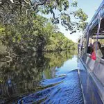 Travellers relax aboard the Noosa Everglades Serenity Cruise, drifting along a tranquil, tree-fringed river beneath a bright blue sky.