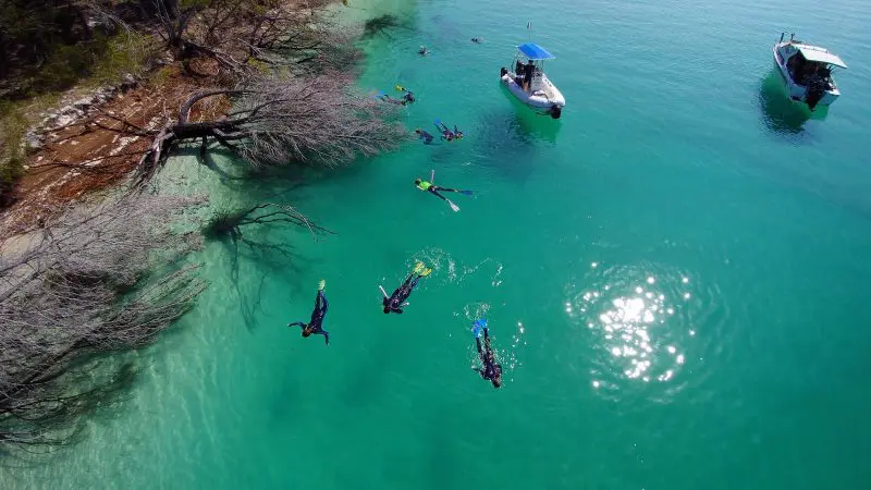 Snorkellers explore crystal-clear turquoise waters by a fallen tree on a remote 1-day K'gari Fraser Island experience adventure tour.