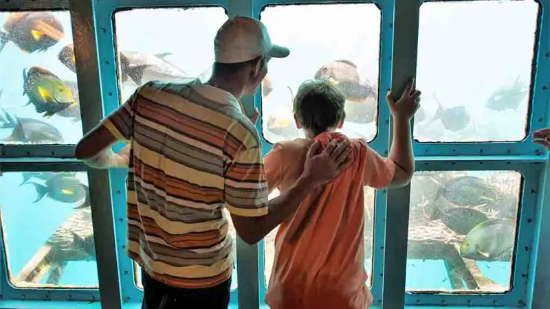 Two visitors admire colourful fish through large aquarium windows, envisioning a once-in-a-lifetime Outer Reef Fitzroy Island day tour.