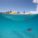 Four people enjoy a Guided Ocean Kayaking Tour, paddling crystal-clear blue waters and viewing a sea turtle under the bright sunny sky.