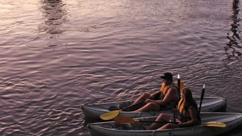 Two kayakers with bright yellow paddles float on calm waters at sunset—Friday or Saturday night tours only, no catering included.