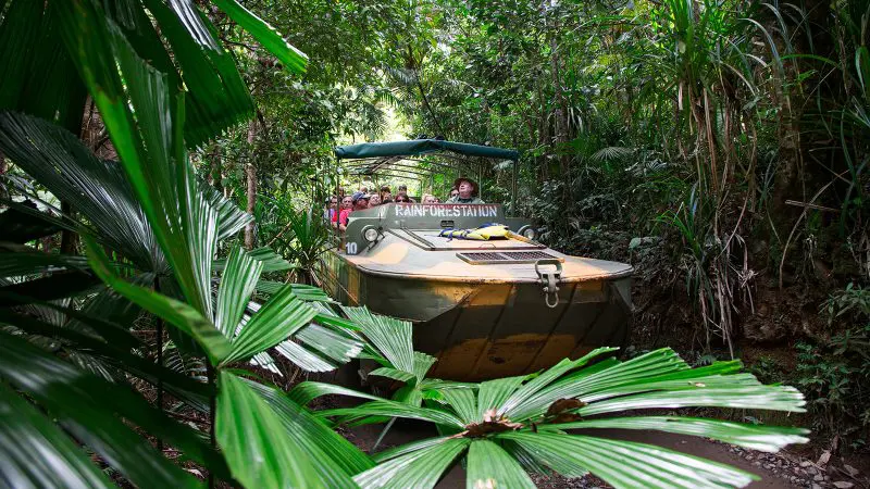 Experience the Private Grand Kuranda boat at Rainforest Station gliding through dense jungle and vibrant tropical foliage in Australia.