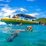 Snorkellers explore crystal-clear blue waters near a bright yellow tour boat at Whitehaven Beach alongside a gliding sea turtle.