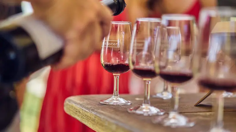 Enjoying a Full Day Swan Valley Wine Tour as someone pours rich red wine, with guests in striking red dresses mingling in the background.