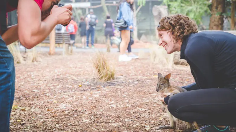 A happy woman poses with a kangaroo for a photo during an Uncharted Blue Mountains Tour at an Australian wildlife park.