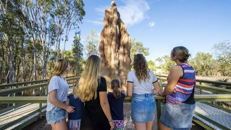 Group of five tourists on a Litchfield National Park walkway marvel at a towering termite mound beneath vibrant blue Australian skies.