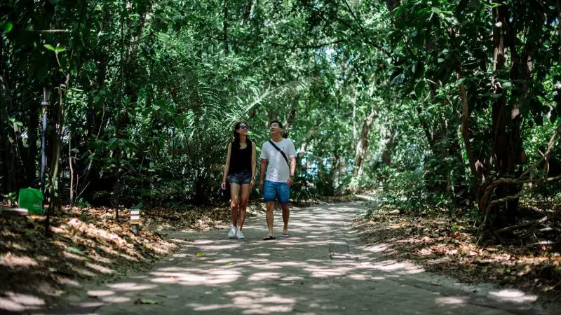A couple strolls along a shaded path, capturing the essence of a Half Day Green Island 9AM Departure adventure experience.