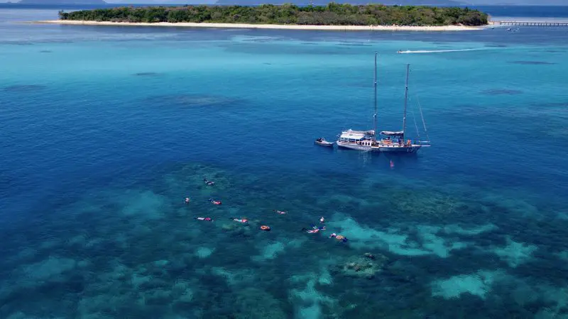 Ocean Free sailboat by Green Island coral reef, vibrant snorkellers enjoying clear blue waters on a Great Barrier Reef day tour adventure.