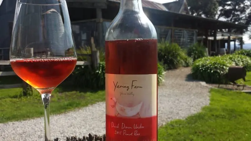 Experience the Yarra Valley: a glass and bottle of rosé showcased by a rustic building, surrounded by vibrant greenery and vineyard views.