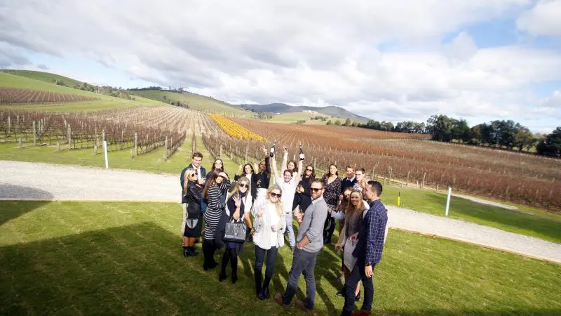 Smiling group poses in front of lush Yarra Valley vineyards during wine tour, capturing unforgettable winery experience moments together.