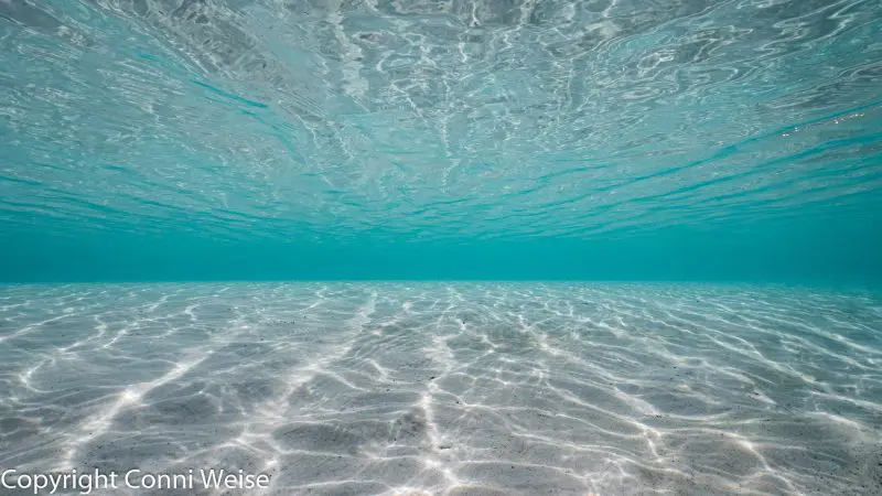 Crystal-clear turquoise water underwater on a 2 Day K'gari Fraser Island Tag Along Adventure with Dingos—stunning ocean exploration.