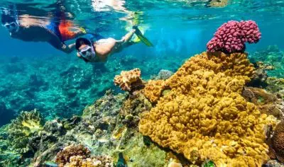 Image of Travellers snorkelling in Fiji with Peterpans Adventure Travel