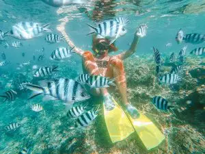 Picture of woman snorkelling in the Great Barrier Reef with Striped fish