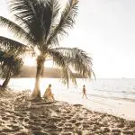 63f70b6059f08_334_ssc20142dk-2-1-3