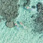 63f71314c613d_334_mclennanmantaray180250-2