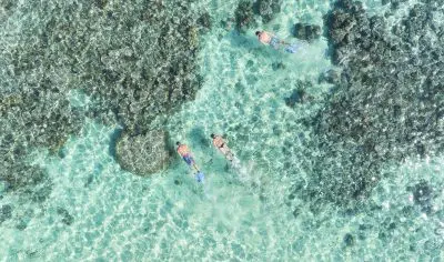 63f71314c613d_334_mclennanmantaray180250-2