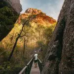 Discover the breathtaking scenery of Kakadu and Litchfield as a traveller explores sunlit cliffs from a wooden walkway on a 3-day 4WD tour.