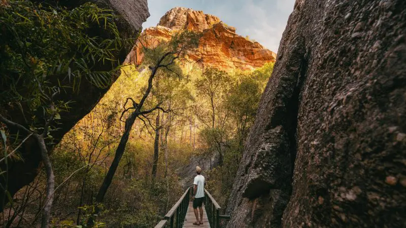 Discover the breathtaking scenery of Kakadu and Litchfield as a traveller explores sunlit cliffs from a wooden walkway on a 3-day 4WD tour.