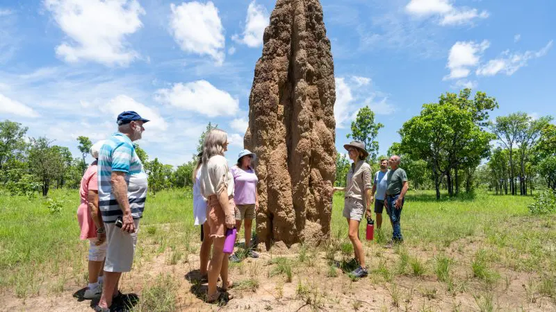 Travellers on the 5 Day Kakadu Katherine Gorge Litchfield 4WD Adventure tour from Darwin examine a giant termite mound up close.