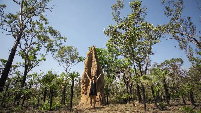 A visitor in a black dress stands beside a giant termite mound during a top-rated 1 Day Litchfield National Park Crocodile Cruise tour.