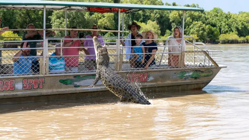 Powerful crocodile leaps from river beside captivated tourists’ boat on top-rated Half Day Jumping Crocodile Tour from Darwin.