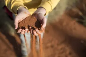 Tourist lets red Uluru sand flow through fingers on a 3-day guided Kata Tjuta and Kings Canyon tour in Australia’s Outback.