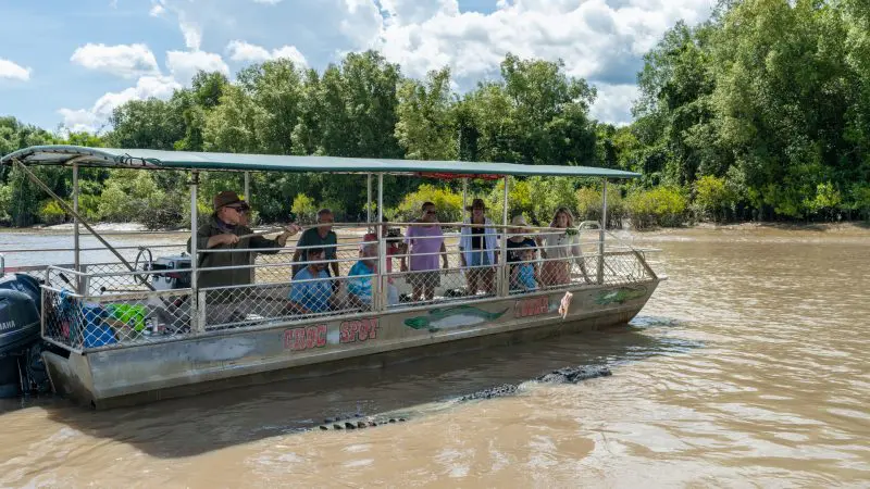 Experience a thrilling Half Day Jumping Crocodile Tour from Darwin, getting close to crocodiles on a muddy river beneath clear blue skies.