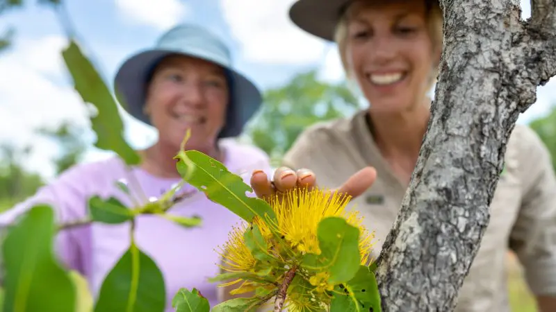 Two women enjoying a 4 Day Kakadu Katherine Gorge tour, smiling outdoors as they closely examine a vibrant yellow flower in nature.