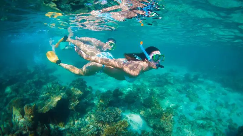 two snorkellers in the water at Ningaloo Reef