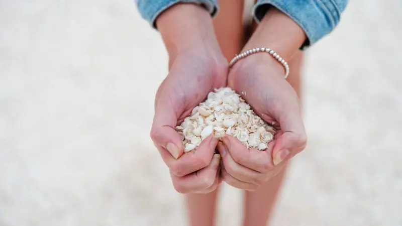 Traveller in denim jacket holding seashells on pristine sandy beach during 7 Day Perth to Exmouth Ningaloo Reef Return Trip, Australia.
