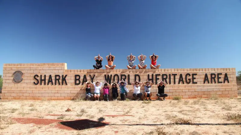 Travellers at Shark Bay display shark fin signs, enjoying the Perth to Exmouth Coral Coaster tour for unforgettable marine adventures.