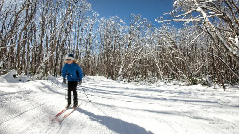 Experience cross-country skiing on Lake Mountain with a 1 Day Snow Tour from Melbourne under clear blue skies, perfect for winter adventure.