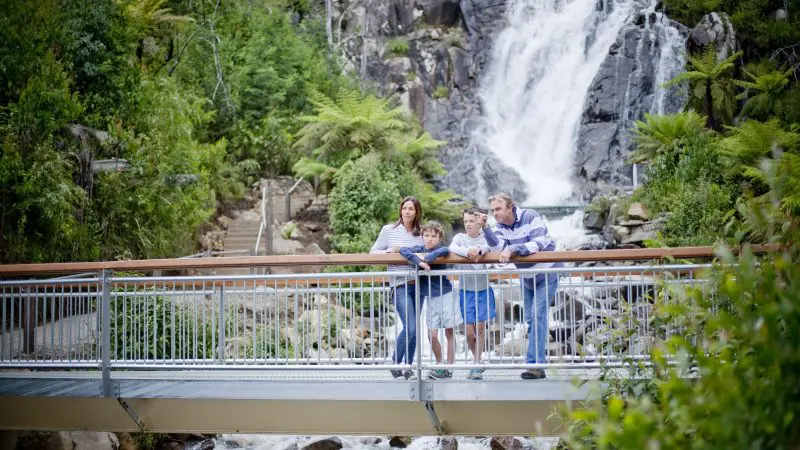Family of four admires breathtaking bridge view on Lake Mountain Snow Waterfalls 1 Day Tour from Melbourne, perfect getaway.