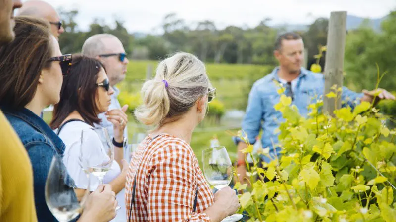 Tour group savouring premium wines with a guide during a Hunter Valley Signature Wine Tour on an overcast day, wine glasses in hand.