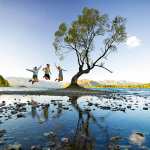 6451ae0a3e5b1_1588_wanaka-tree-2