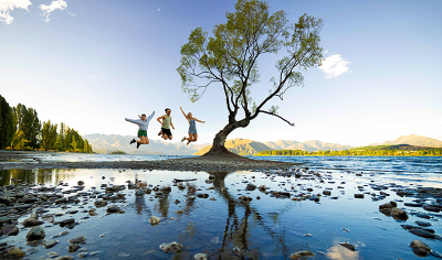6451ae0a3e5b1_1588_wanaka-tree-2