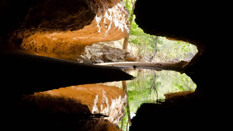 Scenic cave view overlooking sunlit trees and sparkling water on a guided 10 Day 4WD Kimberley Adventure from Broome to Darwin.