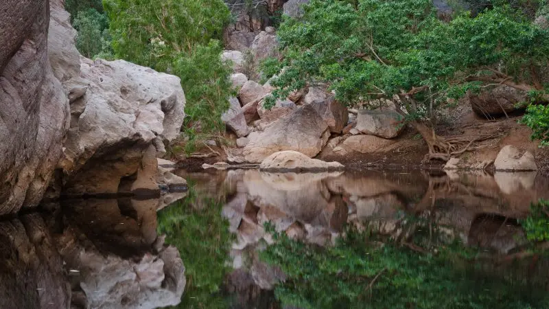 Serene Kimberley stream mirrors lush greenery and rugged rocks, showcasing tranquil beauty on your 10 Day Broome to Darwin 4WD tour.