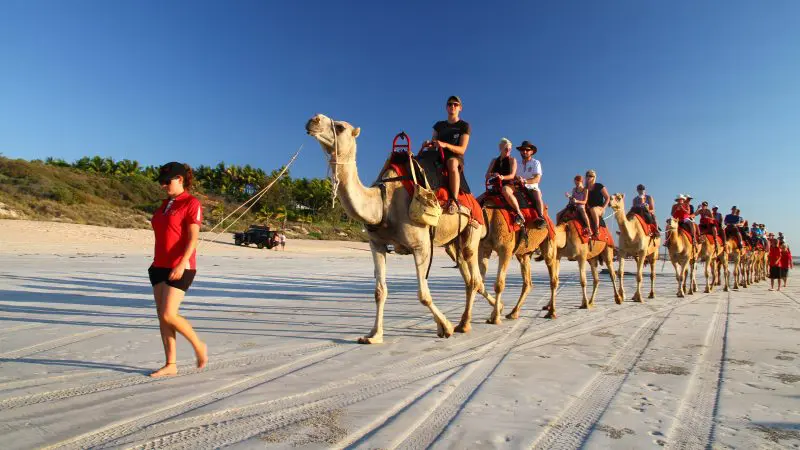 Experience the unforgettable Darwin to Perth Adventure Combo: travellers riding camels along a pristine sandy beach beneath clear blue skies.